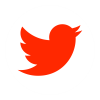 Twitter Icon
